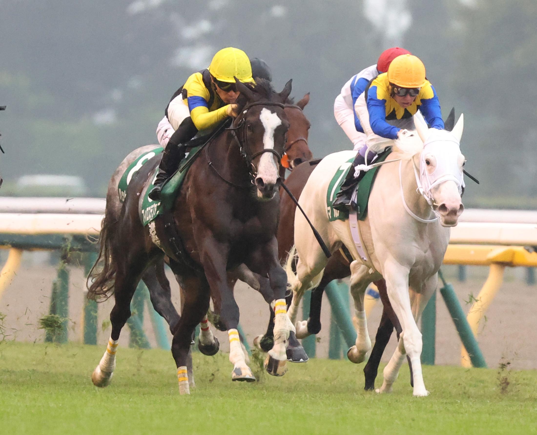 【アルテミスＳ】１番人気の白毛馬マルガがまさかの５着　武豊「残念です」　須貝師は「馬場が合わなかった」