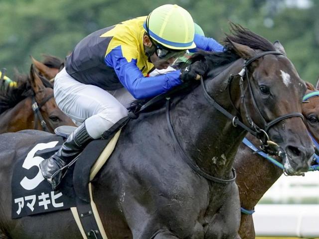 �Ʋ־�2025�˽���ͽ��Υ��ޥ���(��ǯ8��ơ��桼�����󶡡�zatsumu����)