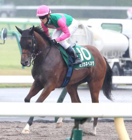 【アルテミスS】9番人気のミツカネベネラが激走2着　津村明秀騎手「最後まで離されずに食らいついてくれました」
