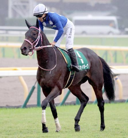 【アルテミスS】3番人気のタイセイボーグは3着　佐々木大輔騎手「勝った馬は強かったけど、能力はある」