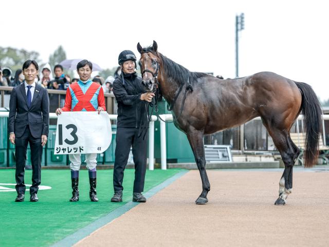 ڥᥤǥӥ塼4R졼女ȡۥå˭