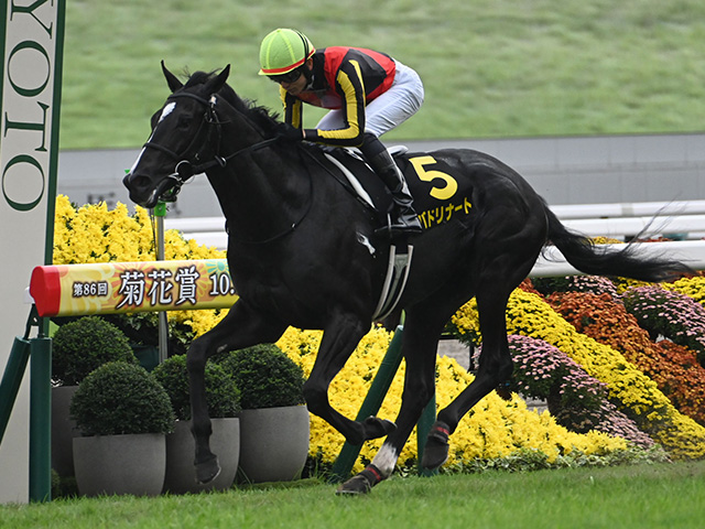 �Хɥ�ʡ���(c)netkeiba