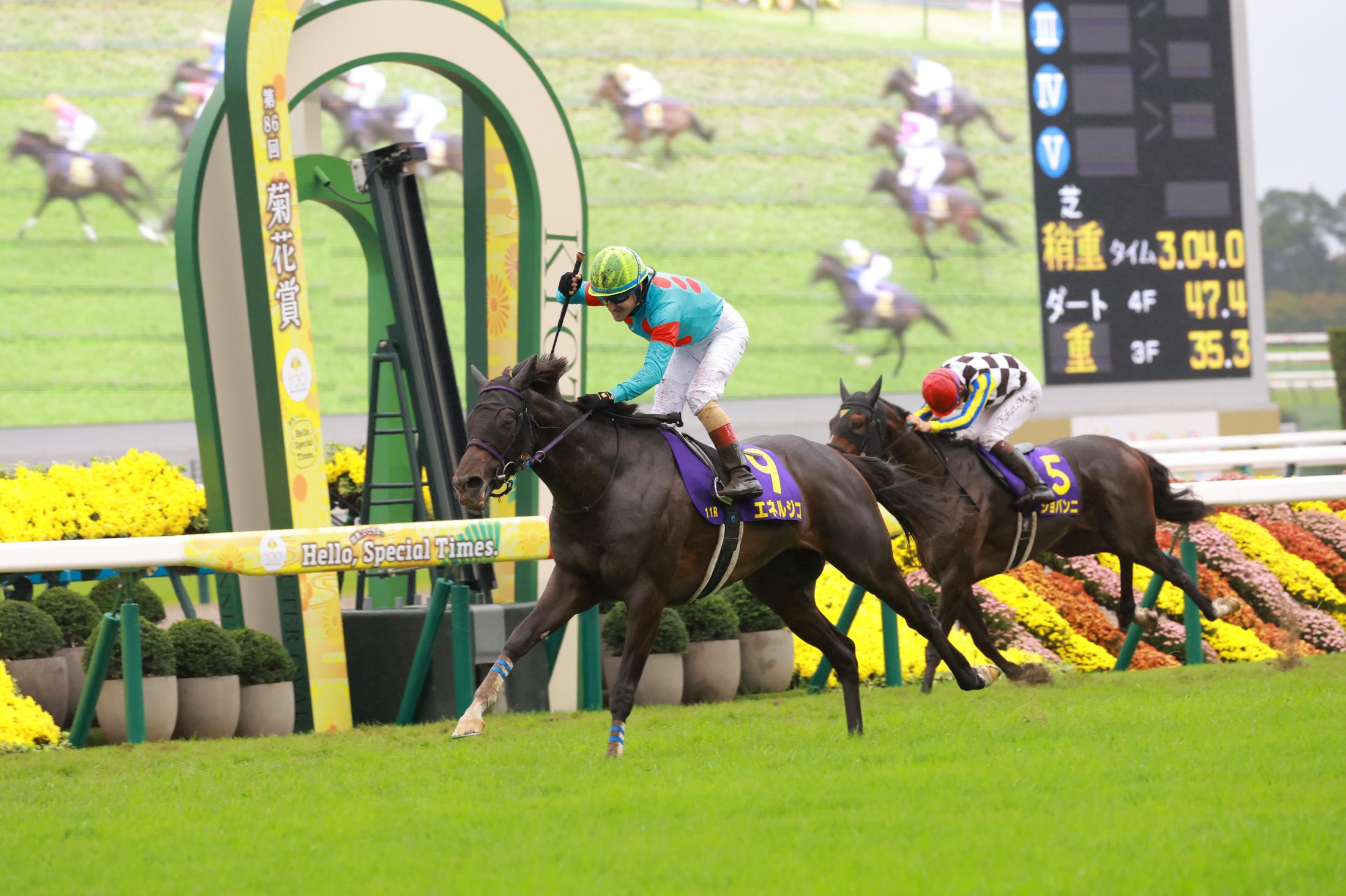 【菊花賞】１番人気エネルジコＧ１初制覇　ルメールは史上初の菊花賞３連覇「信じられない」
