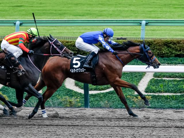 【三鷹特別レース後コメント】ベルダイナフェロー石川裕紀人騎手ら