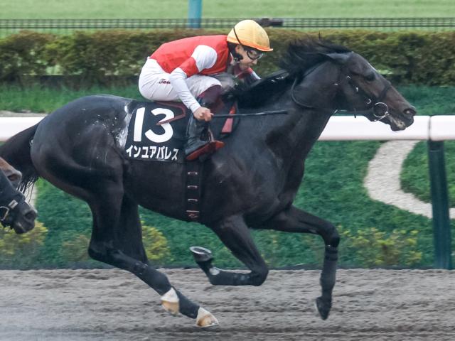 【神無月Sレース後コメント】インユアパレス横山武史騎手ら