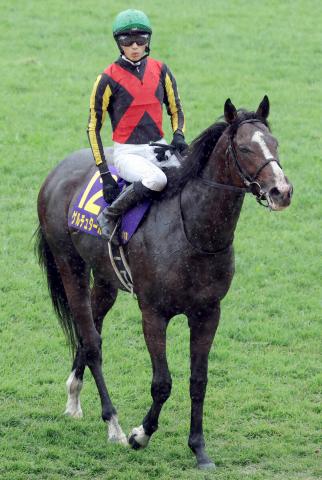 【菊花賞】ゲルチュタール猛追も馬券圏内に鼻差届かず4着　坂井瑠星騎手「勝ち馬が動いたタイミングで動きたかった」