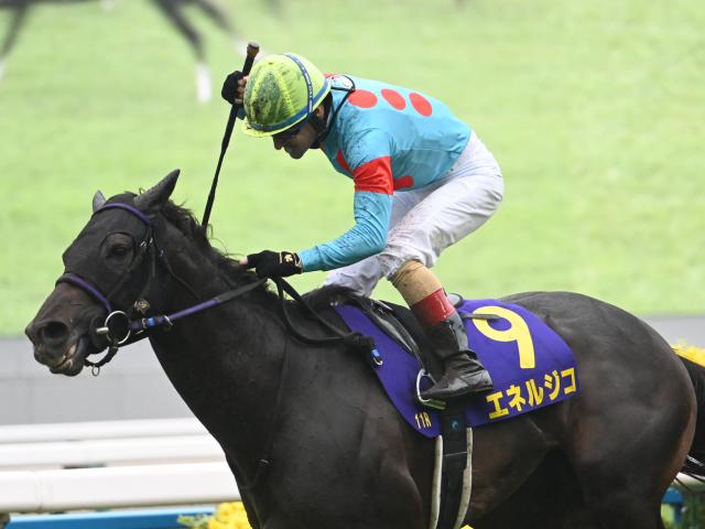 【菊花賞レース後コメント】エネルジコ C.ルメール騎手ら