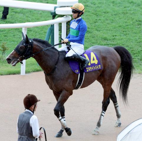 【菊花賞】13番人気エキサイトバイオが激走3着　荻野極騎手「自分から動いて強い競馬をしてくれました」
