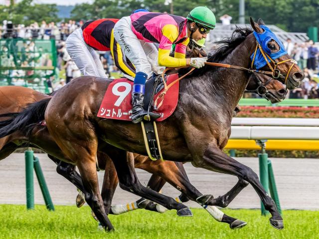 【アルゼンチン共和国杯】シュトルーヴェにかかる史上初の偉業とは？ 復活のGII・3勝目なるか