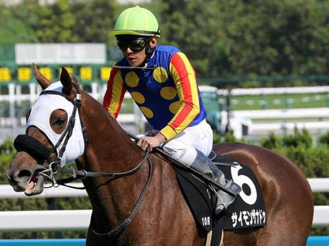 ڤߤ䤳Sۡפ߷ľʡ 󥶥ʥɥJRAž޽