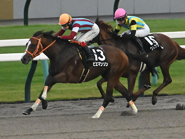 【嵯峨野特別レース後コメント】ピエマンソン池添謙一騎手ら