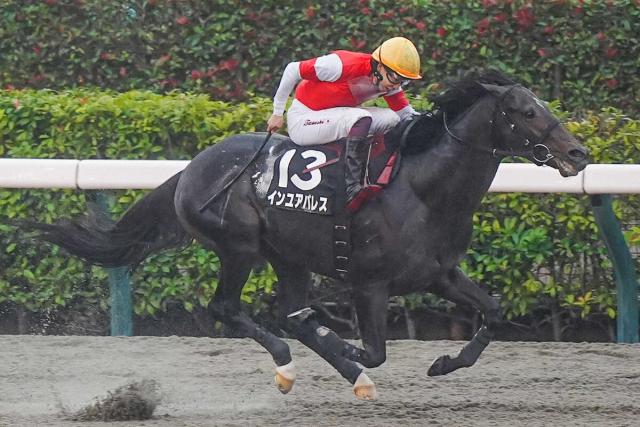 ڿ̵Sۥ楢ѥ쥹Ϣ59ǤǴä餷ϡ