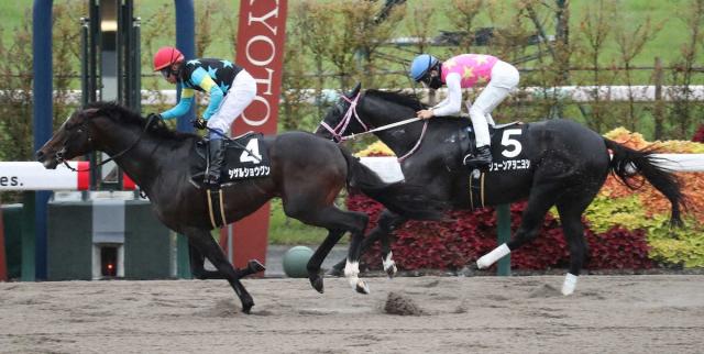 ڥΡץSۥ륷祦󡡺ڤV綶աּϤΤ졼