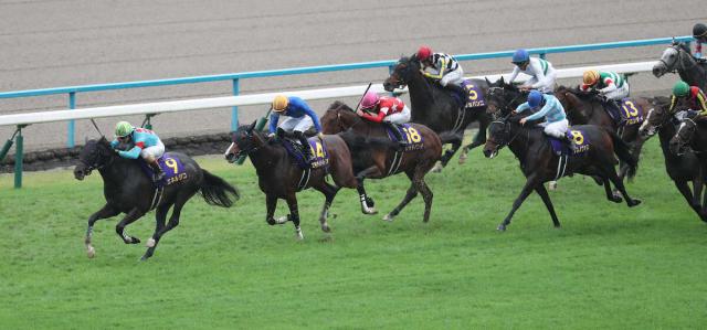 【菊花賞】エキサイトバイオ3着　低評価に反発　荻野極「さらに成長すると思います」