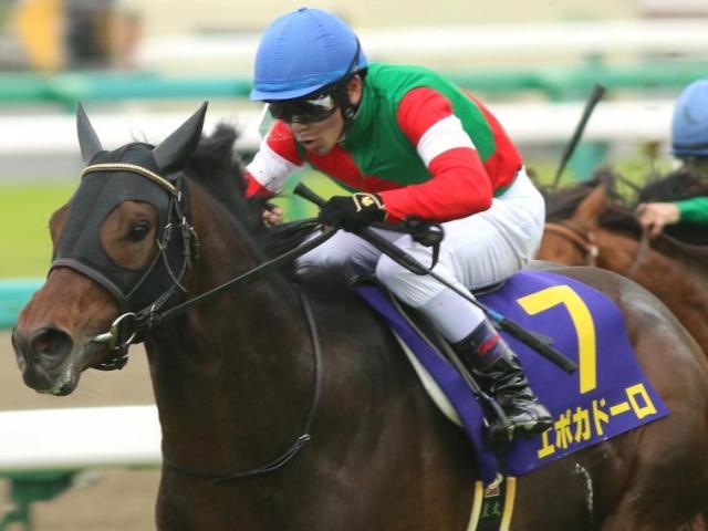 半兄は皐月賞馬のエポカドーロ ダノンクラウディアがデビュー勝ち狙う