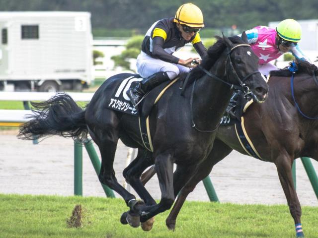 【紅葉S】福永祐一厩舎の2.9億円馬 アスクセクシーモアが連勝でオープン入りなるか