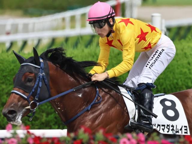 ڤھޡۡ־ڥեߥ꡼״Ԥ ܥޥͥ।褬̵2Ϣʤ뤫