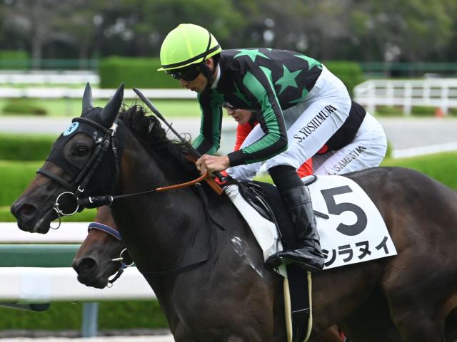 ڥե󥿥SŸ˾ۥǡλȼԡϾ̥̯̣