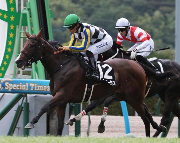 ڥե󥿥S۶彣إ꡼ƤФĹνŤ10ʾ