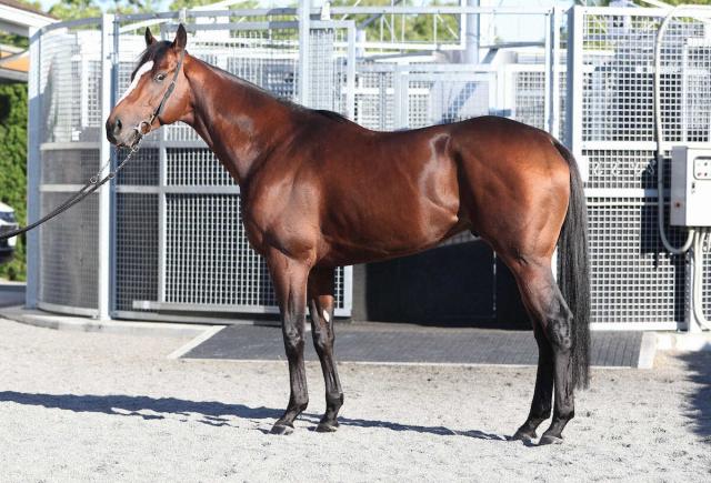 ŷľޡۥᥤ祦Х90ܤĤ餱󵤤ζ