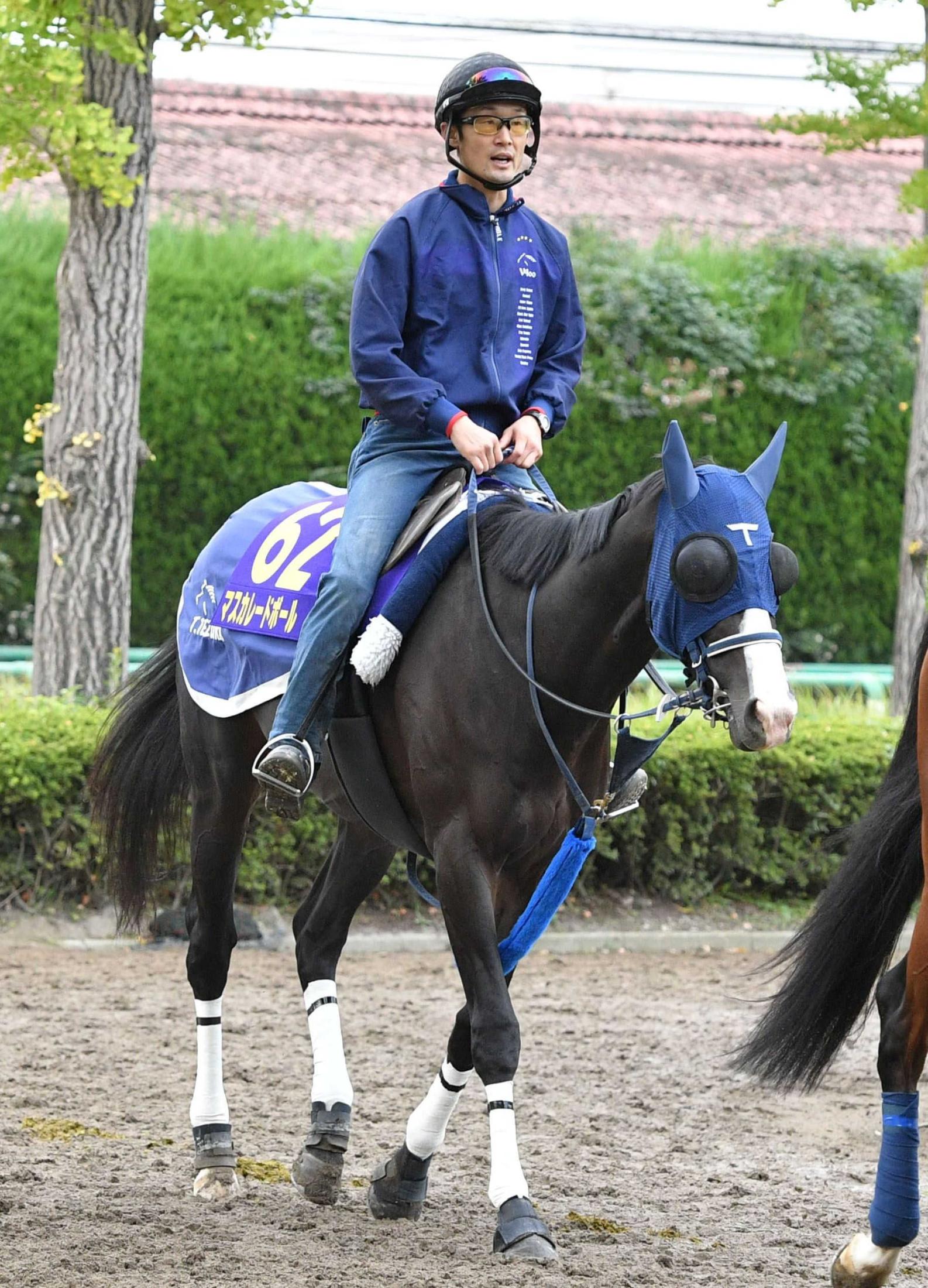 ŷľޡۥޥ졼ɥܡ롡ϰ콳ȥåץ饹λ̵Х᡼ܤ