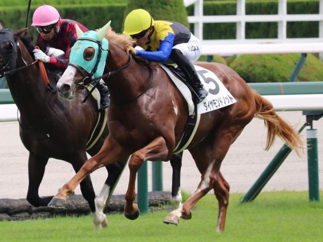 ڵ2SʡʹĴդǯνž޽Ƥʤ뤫 ɥΥåȤ