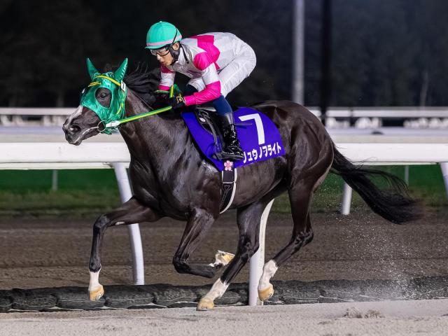 ̡ǥ磻ϡ۲2715vs12 ǯۥåɥϽ°Ϥϸ뤫