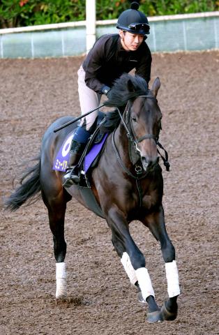 ŷľޡۺǯ3ϤܡϤˤϥߥ塼ޥ뤬Ŭȥ饤ȵǰ1ֿ͵1