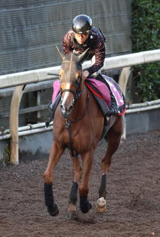 ڥե󥿥SۥեƥХҥ롡ϵʤͰ̻աΤդä