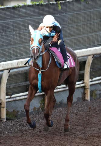 ڥե󥿥Sۥᥤ祦ϥåϢƤܻؤĻա֤֤򥭡ס