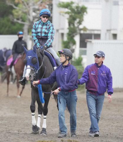 ŷľޡۥޥ졼ɥܡ Τ̲ǽ͵׻աĤʤ