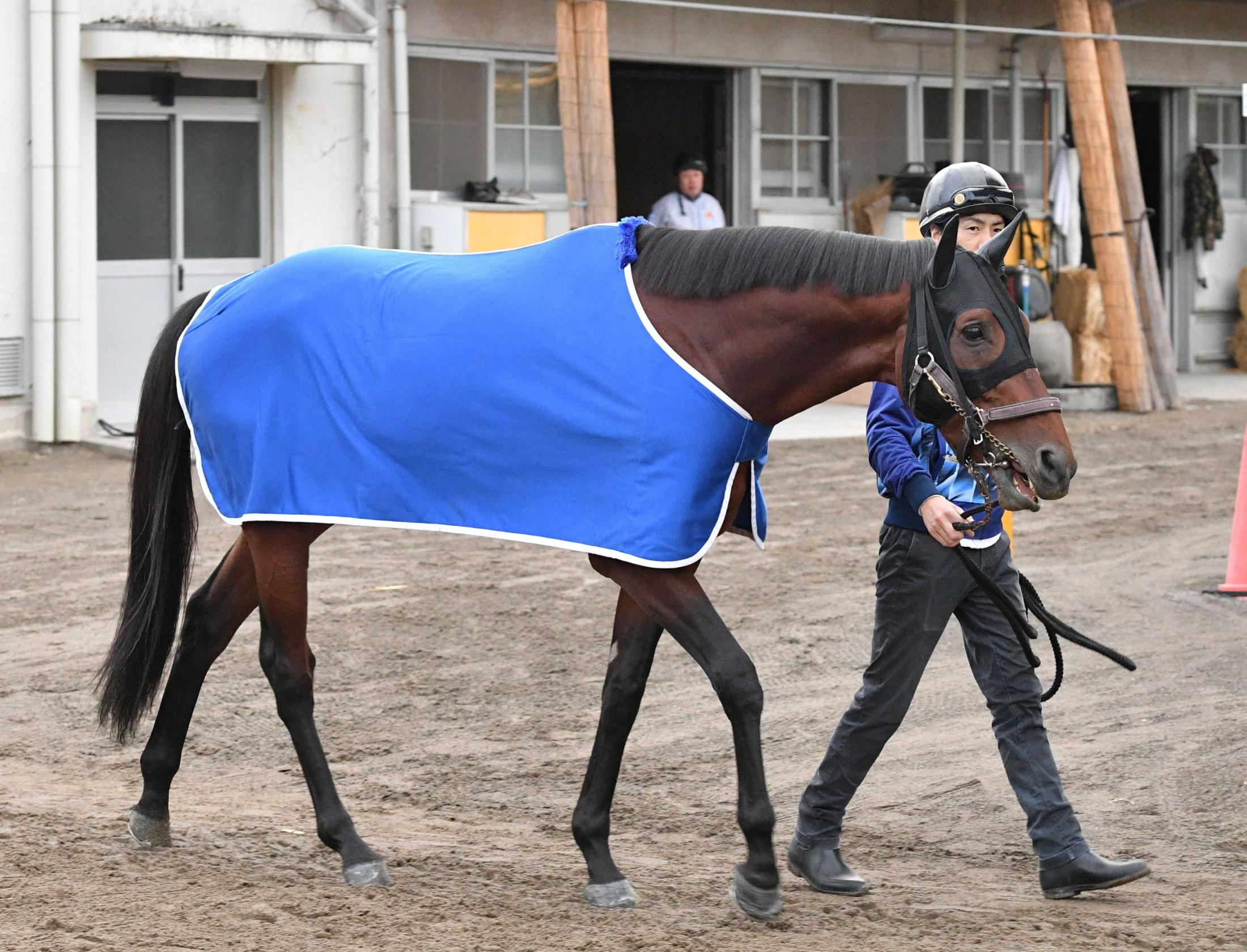 ŷľޡۥۥӥåĴ¤ΣнĹޤ礤԰¥ʥǣ֥