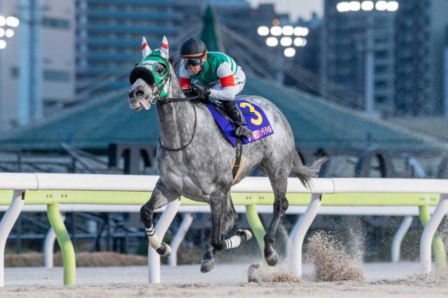 BCե꡼&ᥢץȡۥե֥󥷥°ϽĩƣĻաִԤƤ