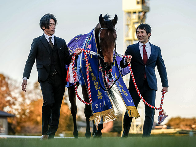 ڥꥶ٥ۥ쥬쥤䥹ƥܥåʤ13Ƭ