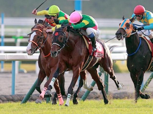 ̾ѡΥץåž޽ 14ǯΥǥ꡼2S