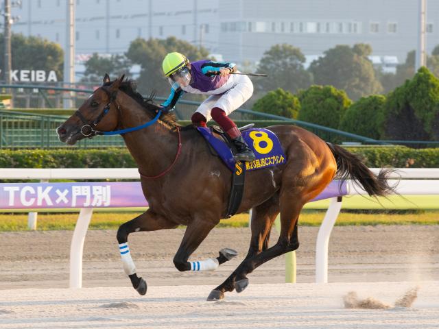 ϡۥɥ塼뤫ȯŸȷϼﲴ Ϥ򿭤Фʥ