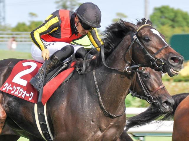 ŷľ()ľ꤬ŷľ޽Ƥʤ뤫 󥺥32ܤλ | ľե륵