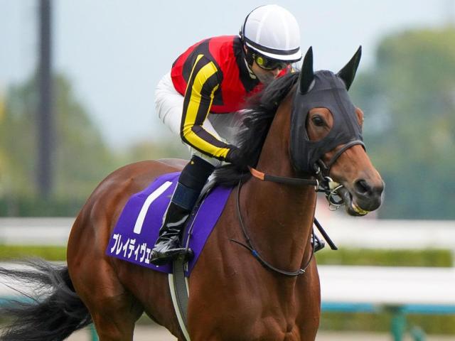 ŷľ()1800mʲž޼Ӥ Ϥ夹ʼȤ