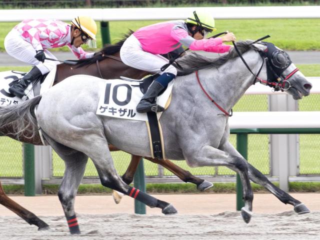 6нˤJRA龡 ٺ餭!? Υ뤬Ϣʤ뤫