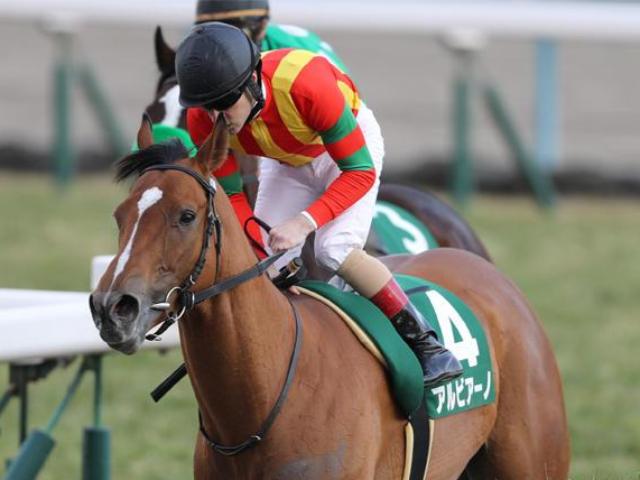 母は重賞2勝のアルビアーノ イトシサがデビュー勝ちなるか