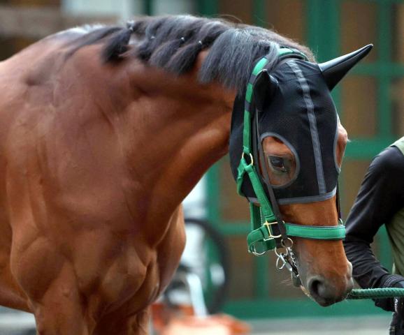 ư۹Cظư٥饸ڥ餬صϺǯȰۤʤơ