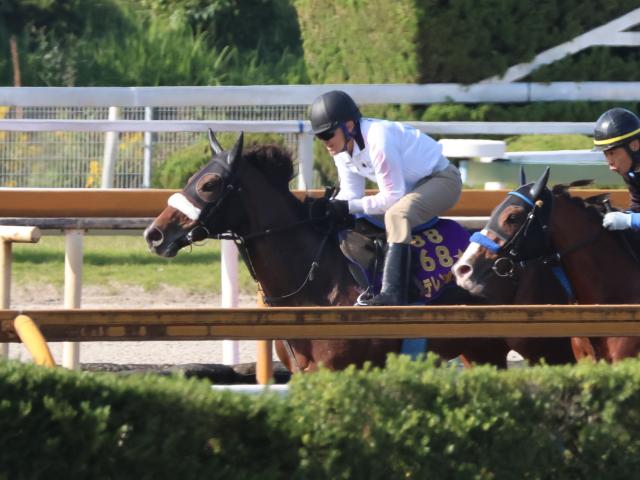 ƥܥå塢ꥶ٥2ɤڤ®/ȥ쥻˥塼