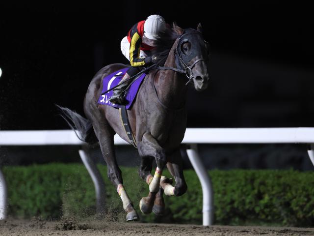 ڱ¡̿ʹɴ޷̡ۥ쥤ޥ4ϿȺǽž޽