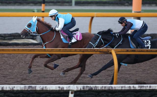 ڥե󥿥Sۥᥤ祦ϥåŪʻϤȾϿ塡Ļա֤֡