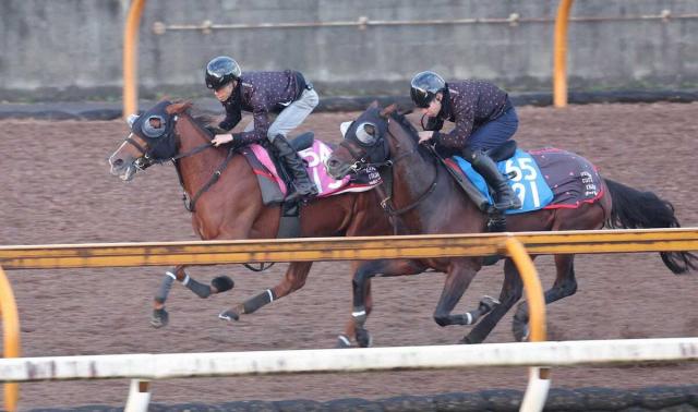 ڥե󥿥SۥեƥХҥ롡ưȴ1F113äȾߥ塼ޥˤĤʤ