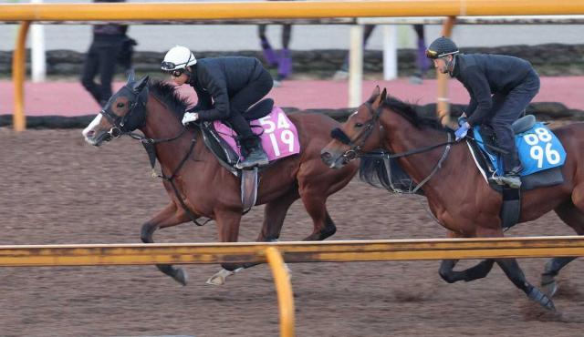 ڥե󥿥Sۥ֥åꥹͤ⤳ʤ롡ִ٤ι⤵