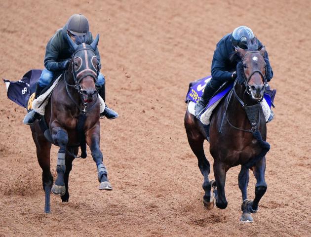 ŷľޡۥ⥭ϩǼʥ٥4F519ƣλա