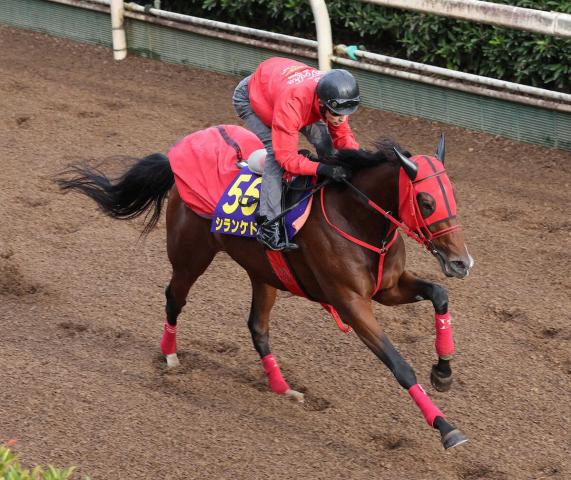 ŷľޡۥ󥱥ɡƷڲ126ұաѤʤ֡