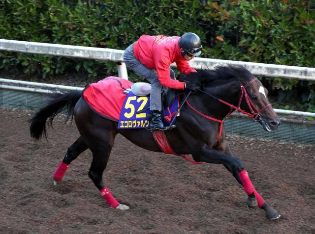 ŷľޡۥġ̣Ǥ赤ұա餫ˤ֡