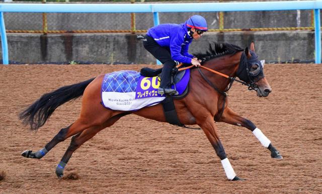 ŷľޡۥ֥쥤ǥͺǼưʻϤϤǤޤΤǡ